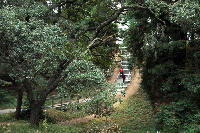 Path between McHenry Library and Student Center