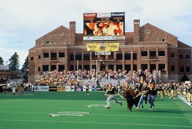 Ralphie, the buffalo