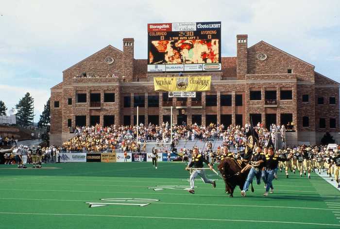 Ralphie, the buffalo