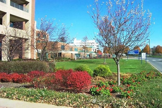 Ruby Memorial Hosital entry garden