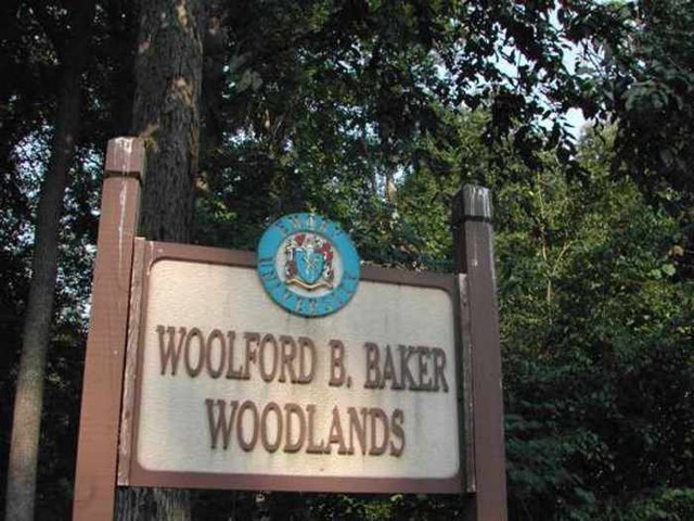 Woolford-Baker Woodlands