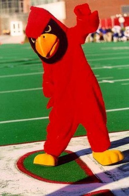 Reggie Redbird