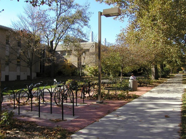 Bike Racks and Benches